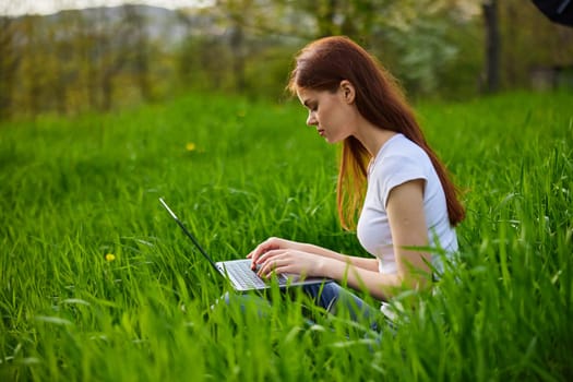 female freelancer working in nature sitting in the grass in nature with a laptop. High quality photo