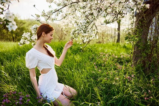 a slender woman in a light dress sits near a flowering apple tree in nature. High quality photo