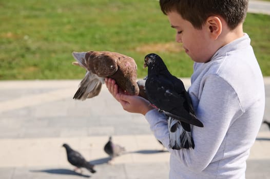 Side portrait of Caucasian nice adorable child boy 10 years old, feeding doves sitting on his hands in the square on sunny day in urban square. People. Children. The cocept of save planet and animals