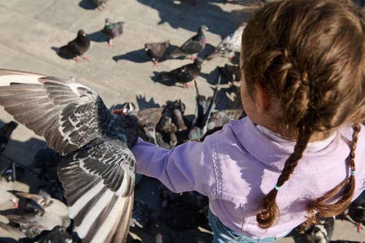 Overhead view of little kid girl with two pigtails, wearing purple denim clothes, standing in city square and feeding flock of flying pigeons. Happy carefree childhood and care for animals concept