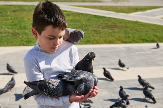 Adorable multi ethnic boy 10 years old, feeding pigeons in the city square on a sunny day. Love and care for animals. People and nature concept