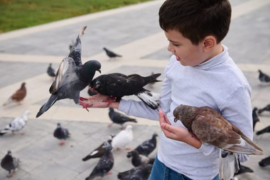 Close-up portrait of adorable Caucasian child 10 years old, school boy holding rock pigeons in his hands and feeding them with bird seeds in the park square. Love and care for animals concept. Doves