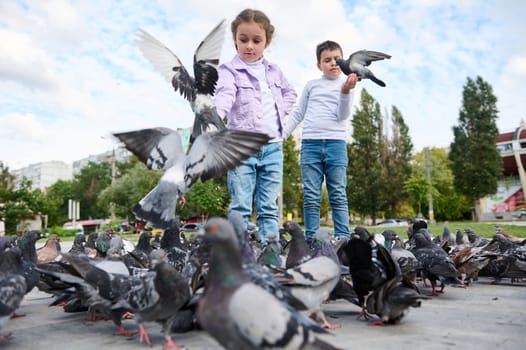 Adorable Caucasian diverse children, boy and girl, standing in the square with group of rock pigeons crowding the street and feeding with discarded food and bird seeds. People. Kind children. Animals
