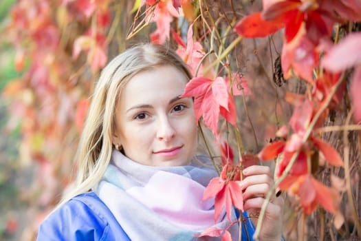 Portrait of a beautiful blonde woman of European appearance in autumn grape leaves. A twenty-five-year-old woman in front of the red leaves of the park.