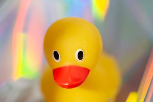 Yellow rubber duck on holographic trendy background.