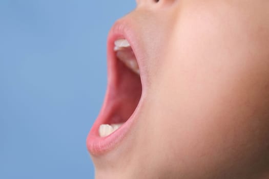 Close-up side view of inside the oral cavity of a healthy child with beautiful rows of teeth. Young girl opens mouth revealing upper and lower teeth, dental and oral health checkup.