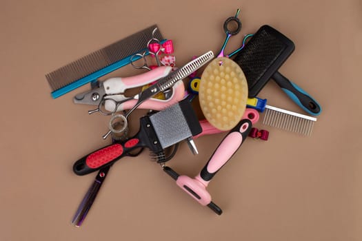 Tool for the groomer on a beige background. Dog grooming accessories. Combs and brushes for animals. View from above