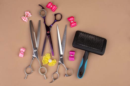 Tool for the groomer on a beige background. Dog grooming accessories. Combs and brushes for animals. View from above