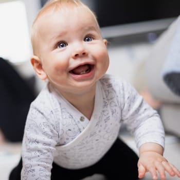 Cute infant baby boy playing, crawling and standing up by living room sofa at home. Baby playing at home