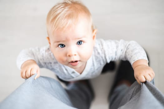 Top down view of cheerful baby boy infant taking first steps holding to father's sweatpants at home. Cute baby boy learning to walk.