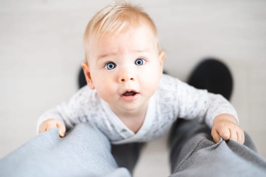 Top down view of cheerful baby boy infant taking first steps holding to father's sweatpants at home. Cute baby boy learning to walk.