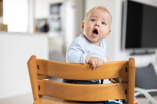 Happy infant sitting in traditional scandinavian designer wooden high chair in modern bright home. Cute baby