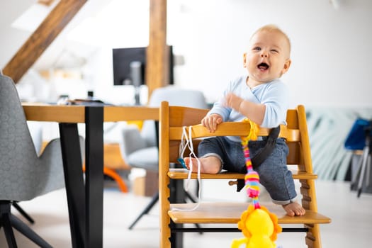 Happy infant sitting and playing with his toy in traditional scandinavian designer wooden high chair in modern bright atic home. Cute baby