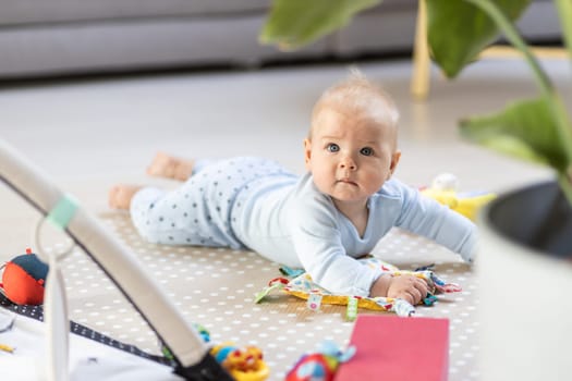 Cute baby boy playing with hanging toys arch on mat at home Baby activity and play center for early infant development. Baby playing at home.