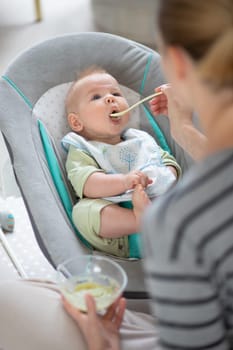 Mother spoon feeding her baby boy child in baby chair with fruit puree. Baby solid food introduction concept