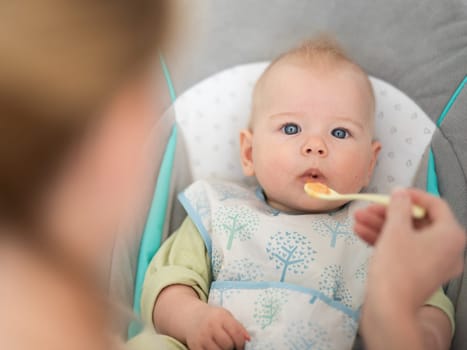 Mother spoon feeding her baby boy child in baby chair with fruit puree. Baby solid food introduction concept