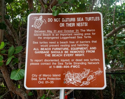 FLORIDA, USA - NOVEMBER 28, 2011: An information sign about sea turtles on the Gulf of Mexico in Florida