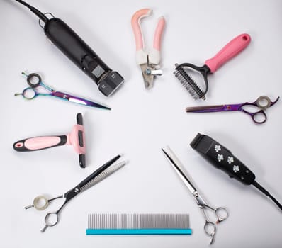 Tool for the groomer on a white background. Dog grooming accessories. Scissors for cutting animals. View from above