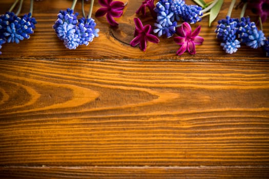 Wooden background with spring flowers and empty space for text.