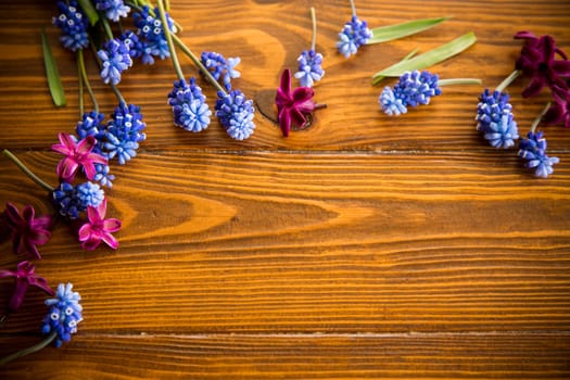 Wooden background with spring flowers and empty space for text.
