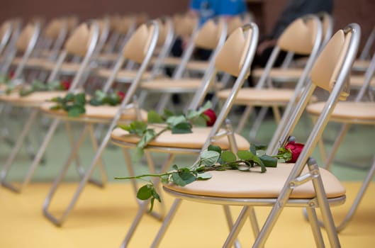 Red roses lie on empty chairs. Row of chairs with flowers.