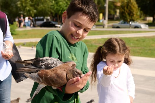 Adorable Caucasian child boy, 10 years old feeding rock pigeon sitting on his hand during family outing on a spring sunny day. Lifestyle. People, nature and wild animals leaving outdoors