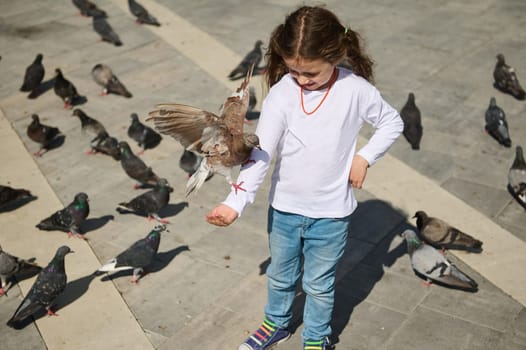 Adorable Caucasian little child girl 5 years old, standing in the square and feeding rock doves on her hand. The concept of kindness and care for animals. Childhood. Children. People. Nature. Top view