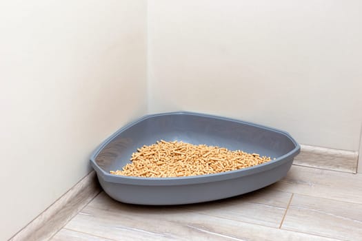 A large gray triangular plastic litter box for a cat, with wood filler in the form of compressed sawdust, stands on the floor in the corner of a bright room on the floor