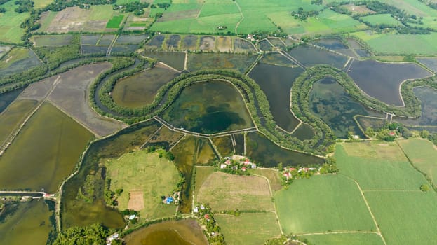 Flooded rice fields and farmland in the countryside. Agricultural landscape. Hinigaran River. Negros, Philippines