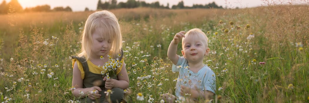 A little boy and a girl are picking flowers in a chamomile field. The concept of walking in nature, freedom and a healthy lifestyle.