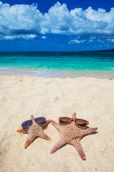 Starfish with sunglasses on sand of tropical beach at Philippines