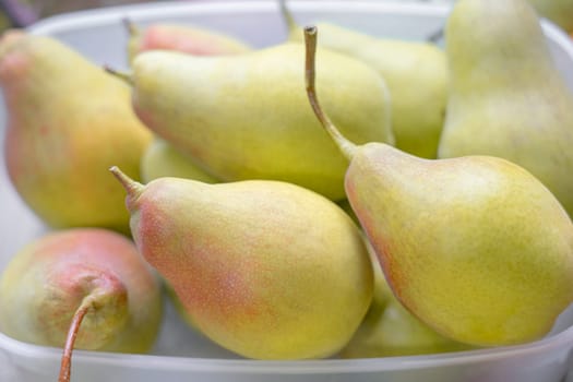 ripe yellow pear fruits on a plate close-up macro. photo