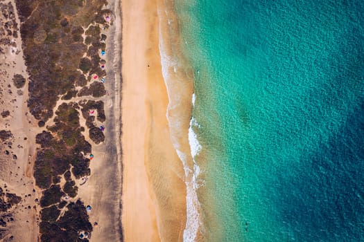 Beach with turquoise water on Fuerteventura island, Spain, Canary islands. Aerial view of sand beach, ocean texture background, top down view of sea waves by drone. Fuerteventura, Spain.