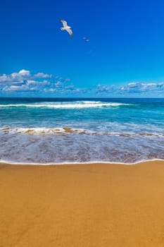 Amazing Cofete beach with endless horizon. Volcanic hills in the background and Atlantic Ocean. Cofete beach, Fuerteventura, Canary Islands, Spain. Playa de Cofete, Fuerteventura, Canary Islands.