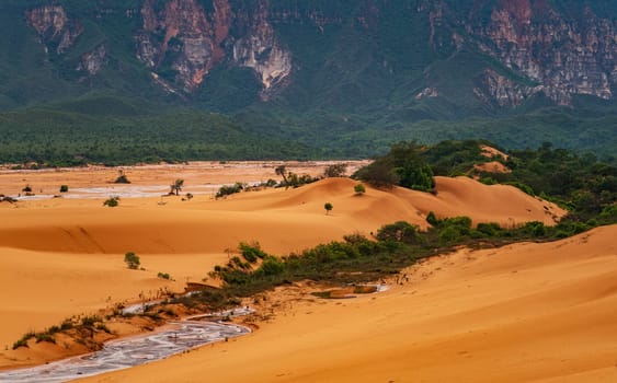 Explore the raw nature and solitude of Jalapao's isolation, where stunning sand dunes meet verdant, colorful mountains in the distance.