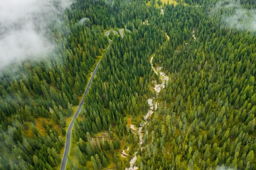 Aerial view of thick forest in summer and countryside road.