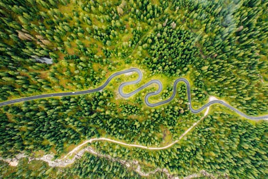 Aerial view of Snake road passing through the green forest.