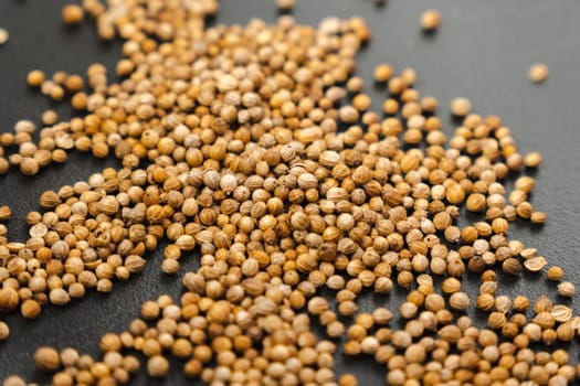 Coriander seeds, close-up, Chinese parsley, dhania and cilantro, used as aromatic and flavorful spice.