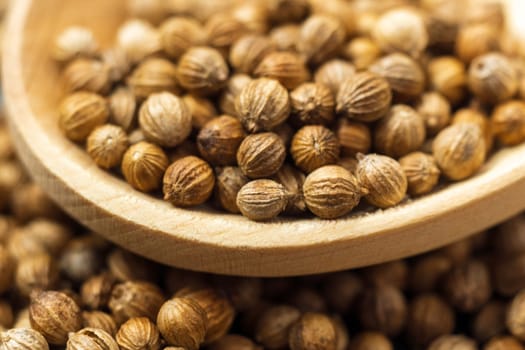 Coriander Seeds close up macro, products or health products based on coriander seeds.