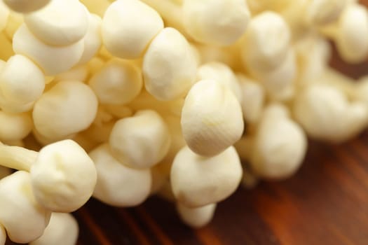 Enoki mushroom, Golden needle mushroom, used i food and salads. Macro