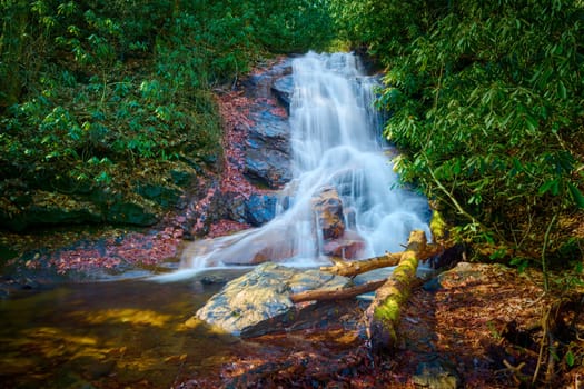Log Hollow Falls in Pisgah National Forest, North Carolina.