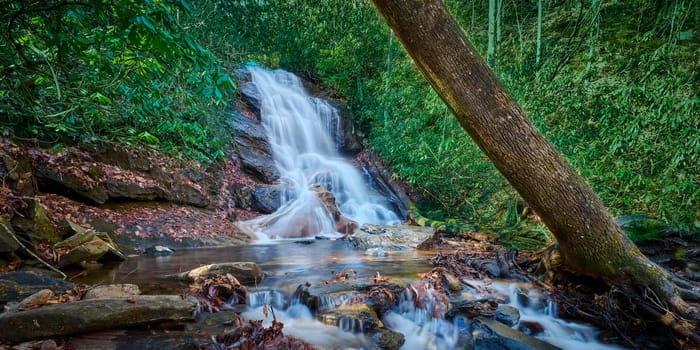 Log Hollow Falls in Pisgah National Forest, North Carolina.