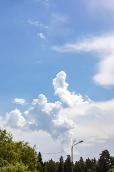 Landscape of bright blue sky with clouds and treetops