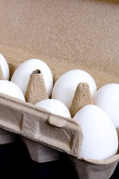 White chicken eggs in cardboard packaging close up