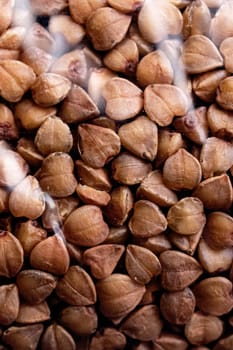 Brown buckwheat groats close up, background or texture