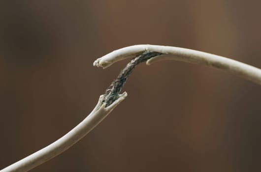 A man examines an electrical wire with damaged insulation. Close-up.