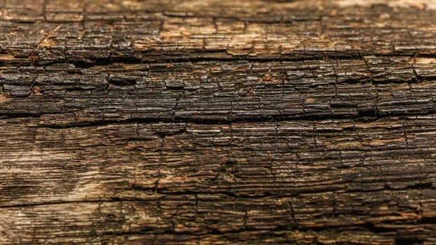Old wood (sun shining to board on wooden bench) structure. Abstract natural background.