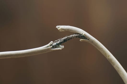 A man examines an electrical wire with damaged insulation. Close-up.