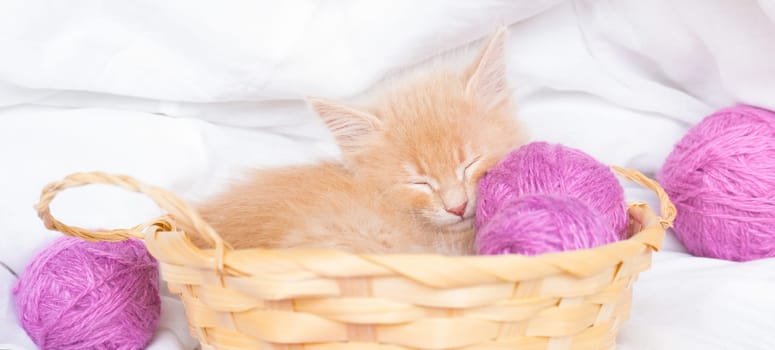 Ginger kitten sleeps in a straw basket with pink balls, skeins of thread on a white bed