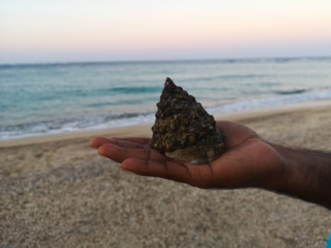 shell of a clam in the hand of an african against the background of the sea. High quality photo